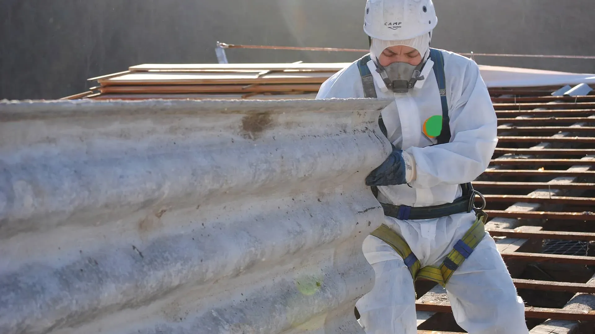 A professional asbestos removal specialist from Stay Safe Environmental safely dismantling a corrugated asbestos cement roof while wearing full PPE and a safety harness.
